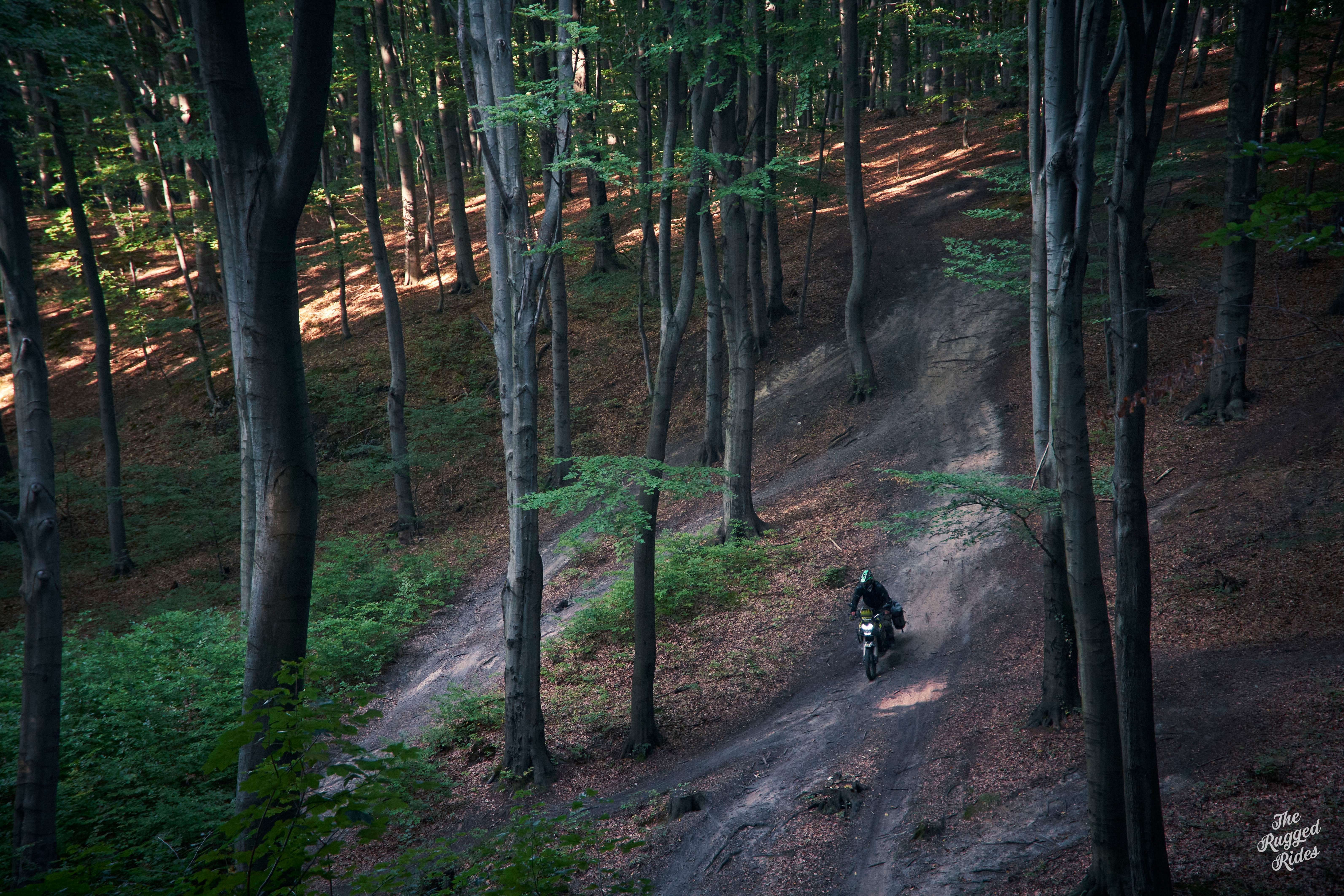 Rally piccolo - Guess who's back?! 