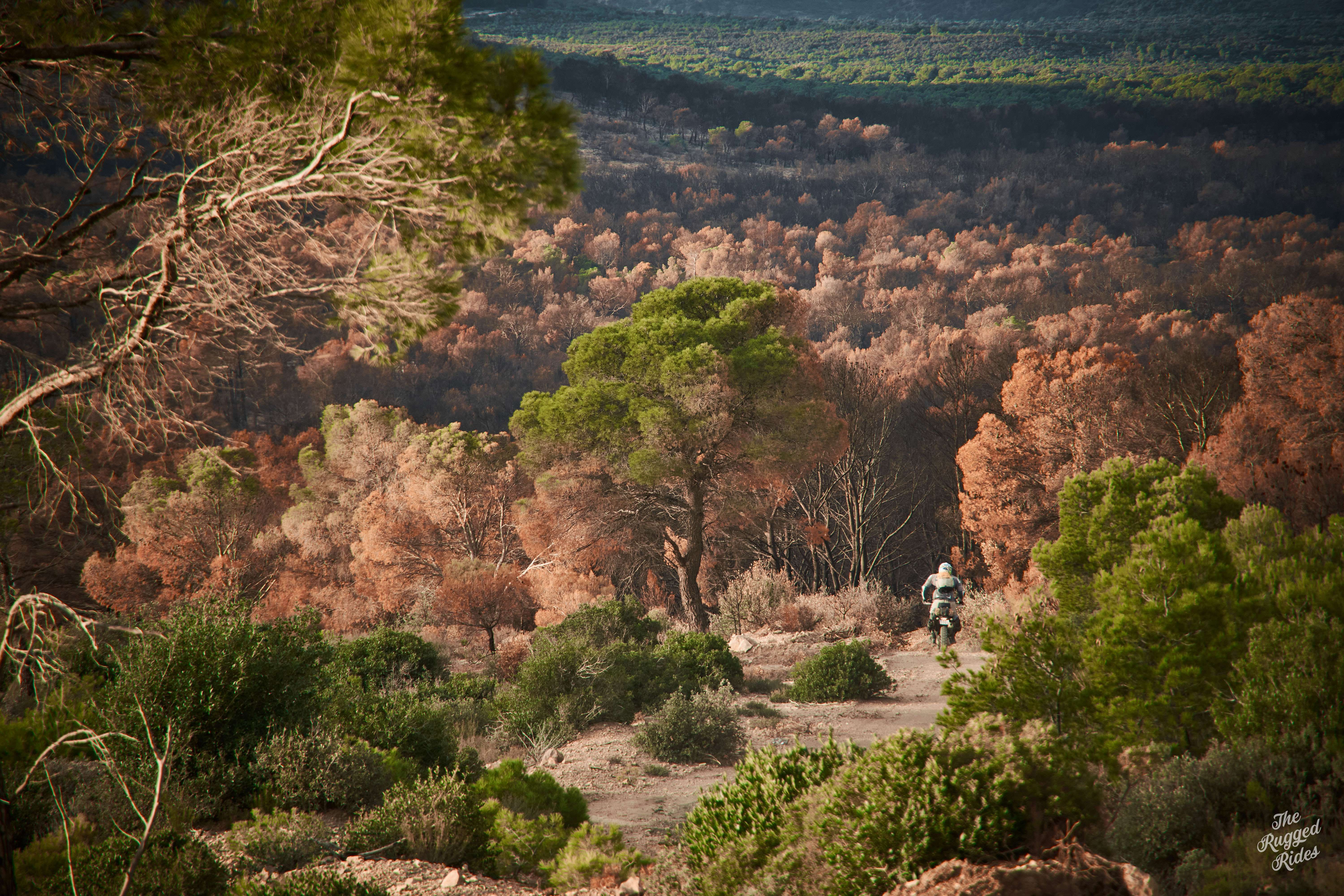 Tunisia - Dirt Roads II - North