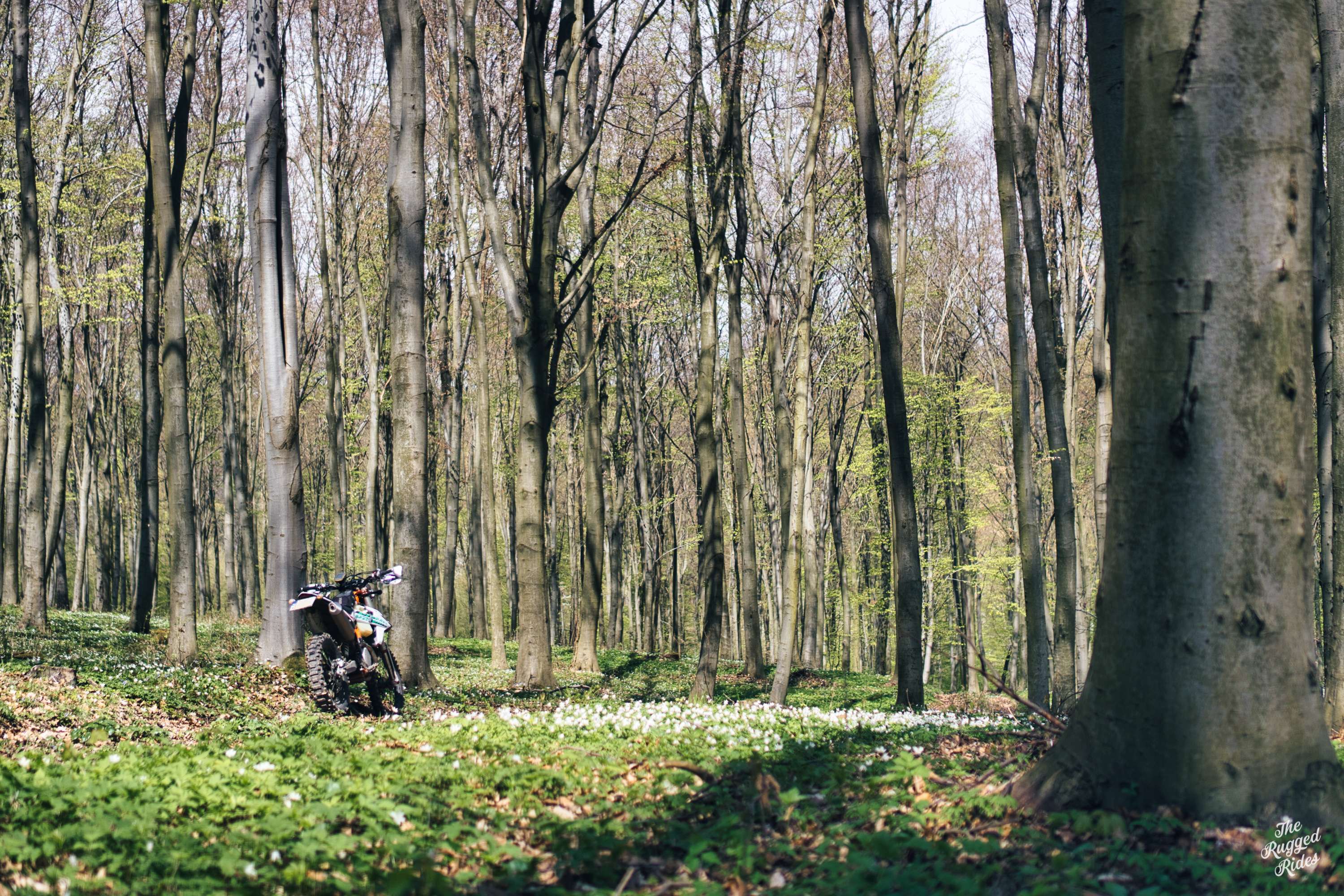 Wiosna, jeden dzień i Kielce.