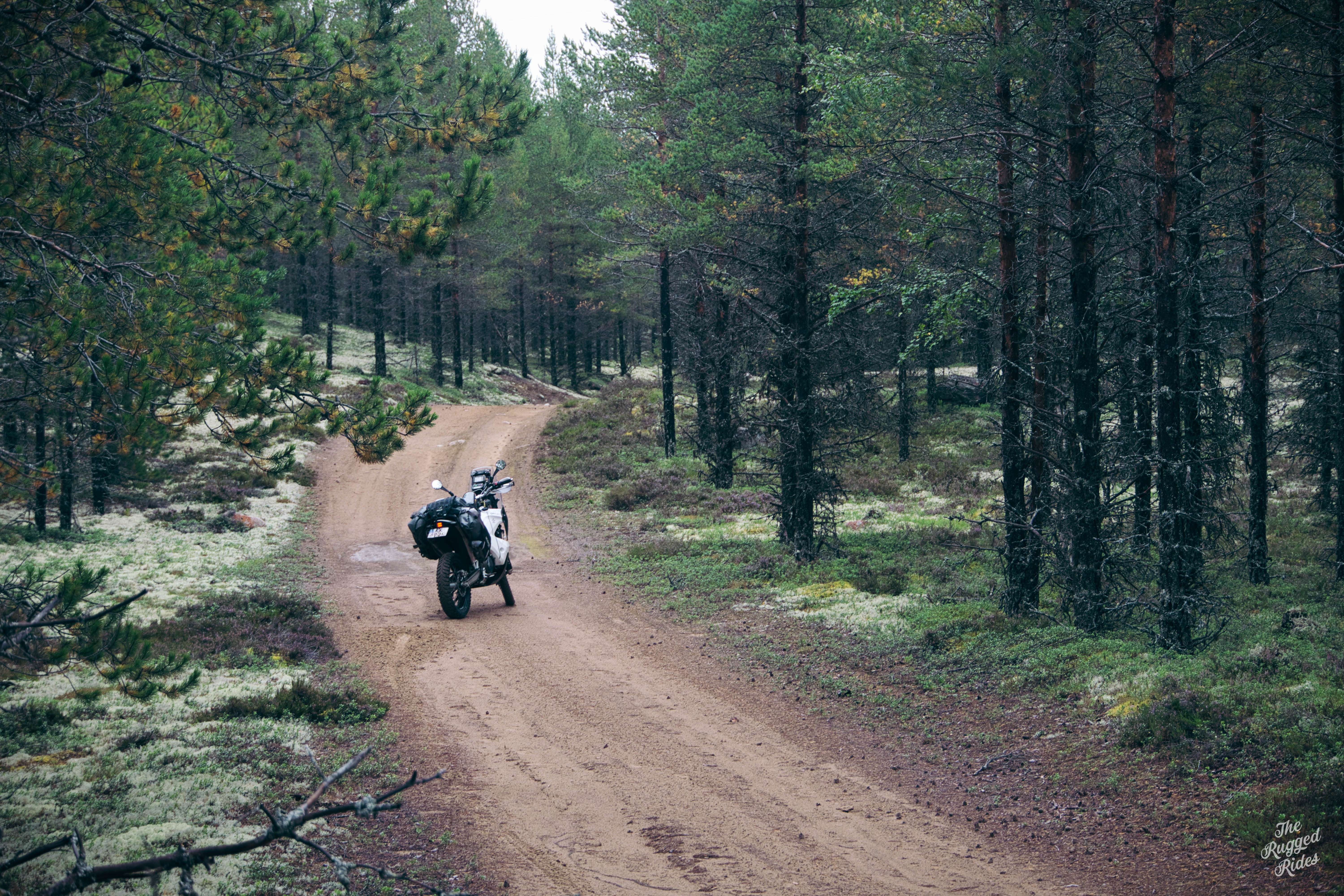 100% Nature vol. 2 - Sweden 2022